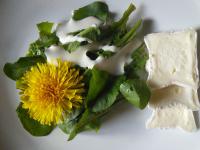 Brie sajt, pongyola pitypang levele salátaöntettel